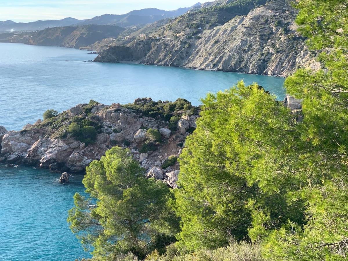 Villa Andrea 네르하 외부 사진